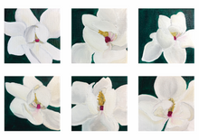 Load image into Gallery viewer, Magnolias Magnolias Magnolias
